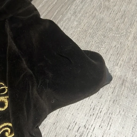 RARE! Juicy Doggy Couture Family Crest Velour Hoodie